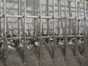 Concrete, Mortars and Specialty Chemicals for Shotcrete Applications